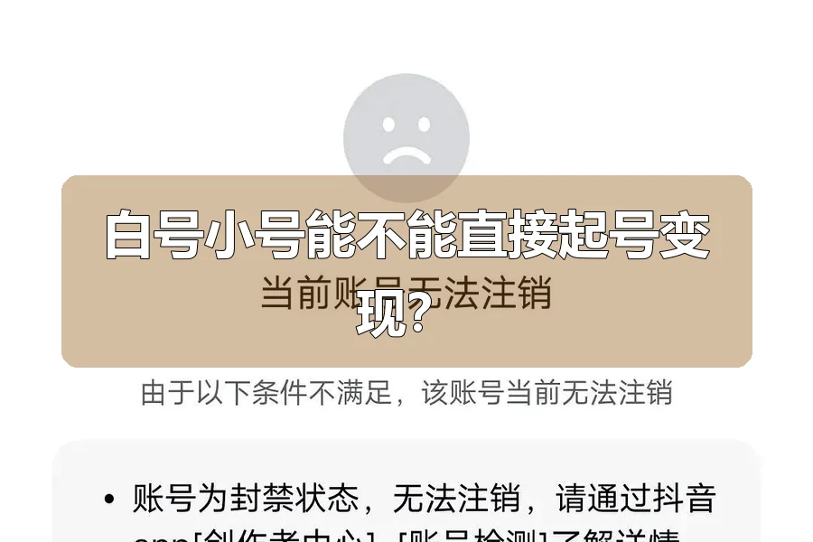 白号小号能不能直接起号变现?